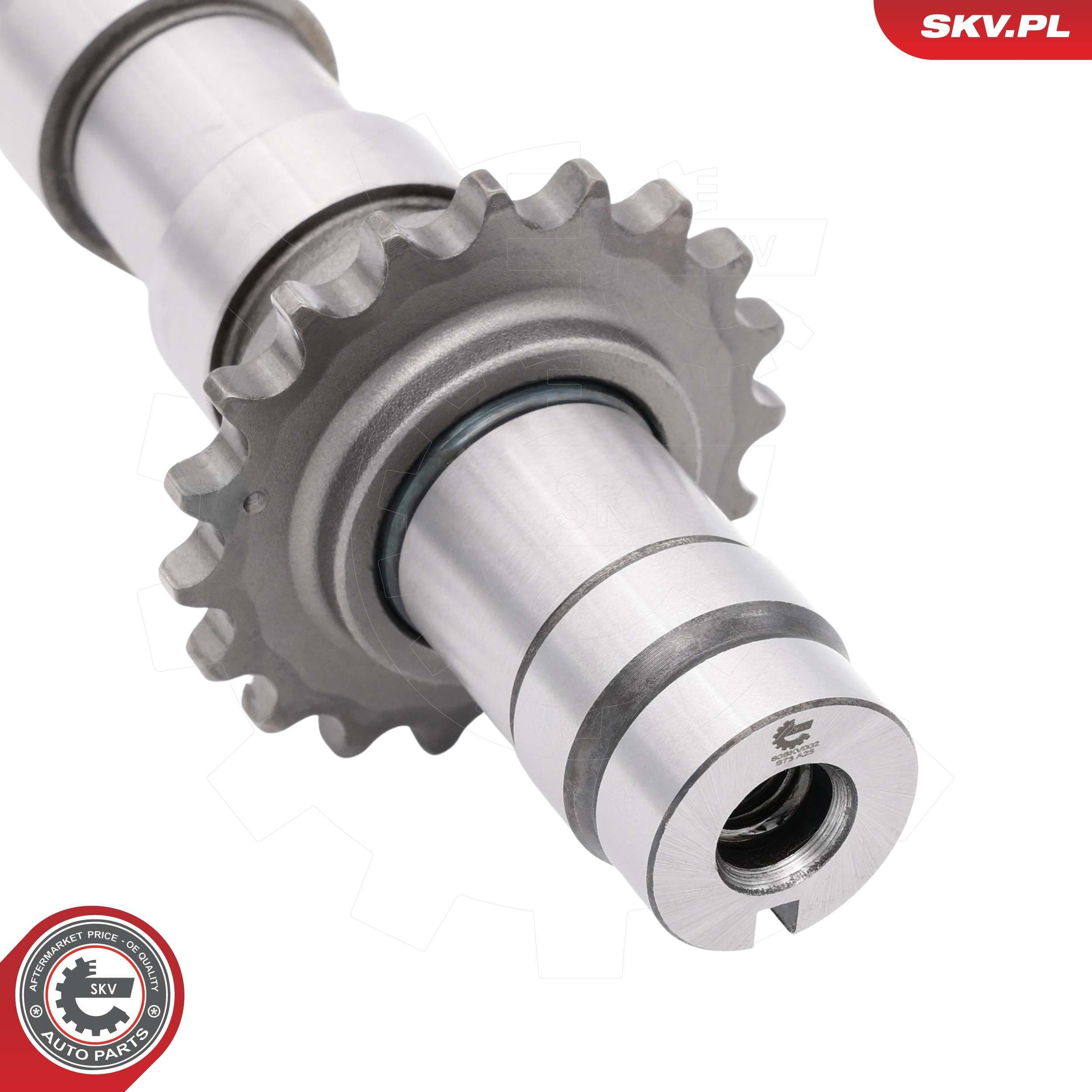 80SKV002 SKV